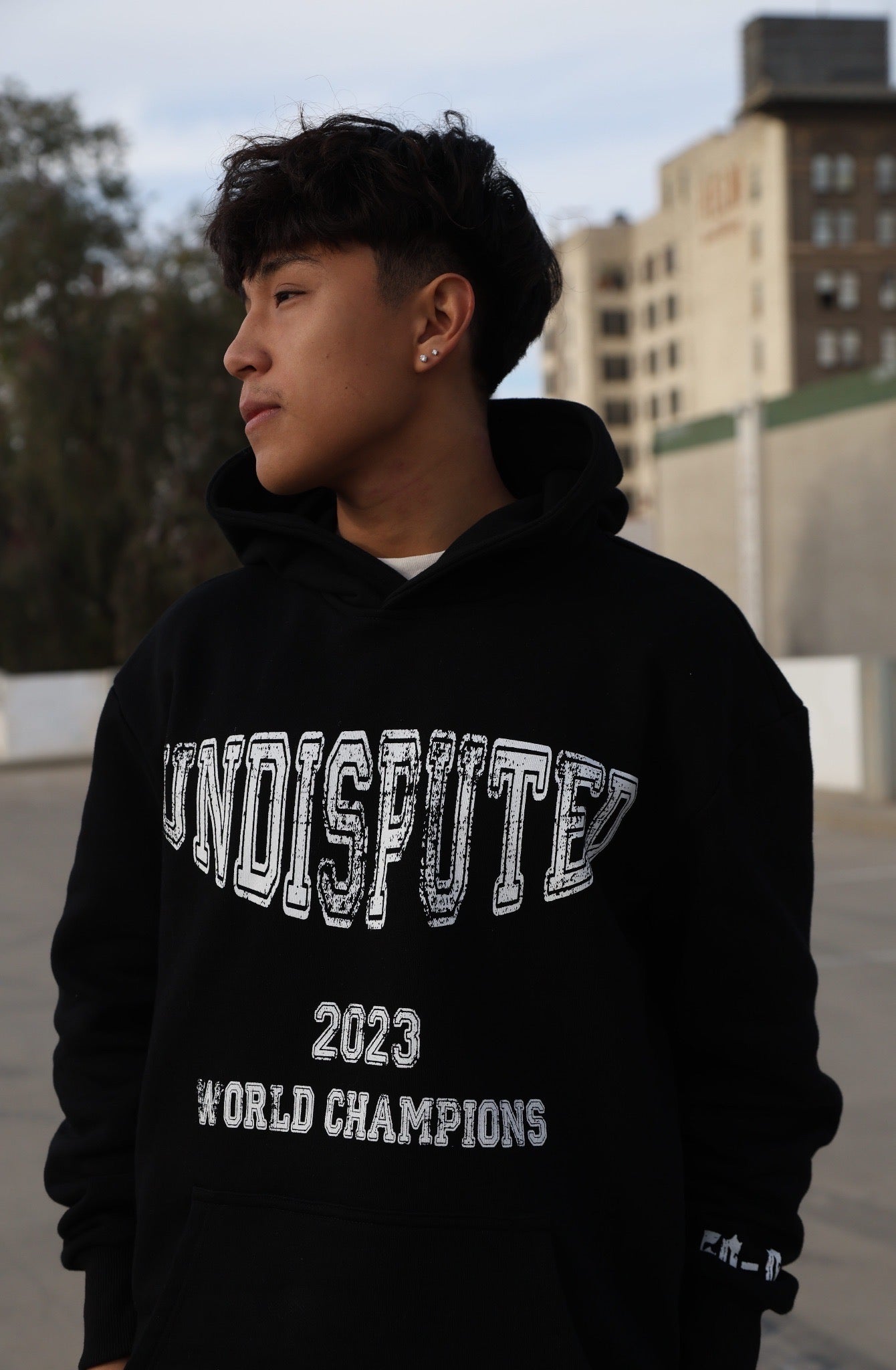 The World Champs Hoodie